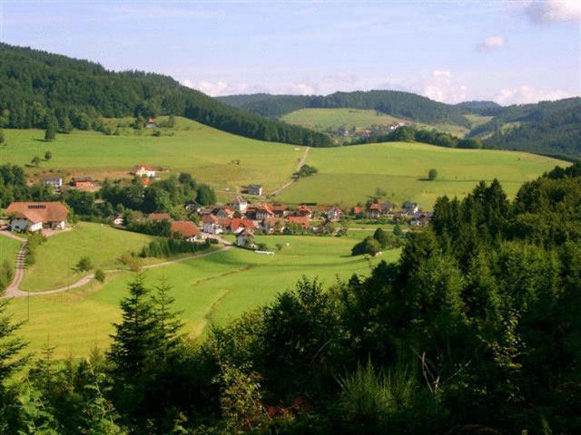 ホテル Hirschen-Dorfmuehle Biederbach Baden-Württemberg エクステリア 写真